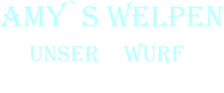 Amy`s Welpen      Unser F Wurf           2. Woche
