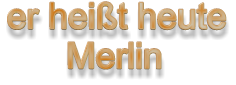 er heißt heute       Merlin