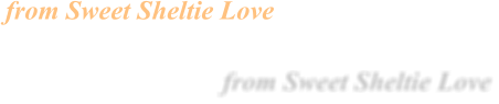 from Sweet Sheltie Love