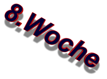 8.Woche