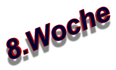 8.Woche