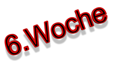 6.Woche