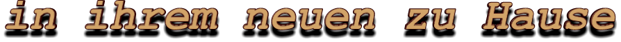 in ihrem neuen zu Hause