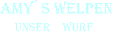 Amy`s Welpen      Unser F Wurf           4. Woche