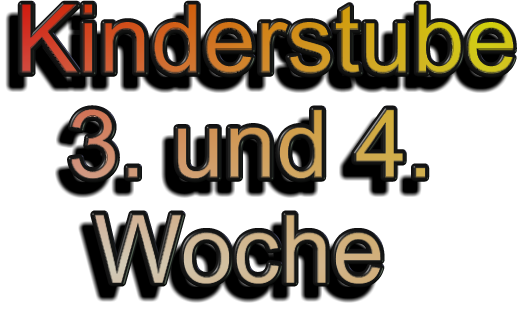 Kinderstube   3. und 4.    Woche