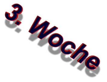 3. Woche