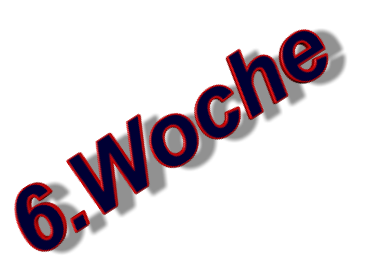 6.Woche