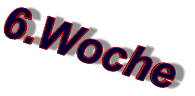 6.Woche