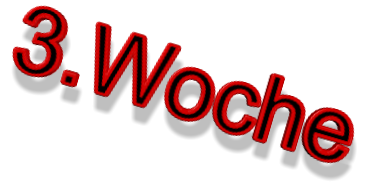 3.Woche