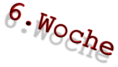 6.Woche