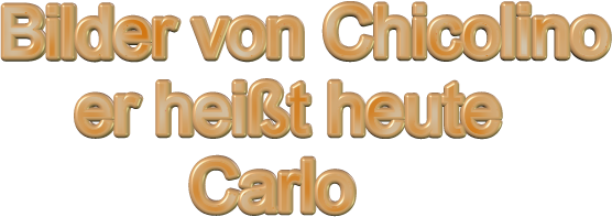 Bilder von Chicolino          er heißt heute                Carlo