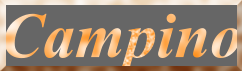 Campino
