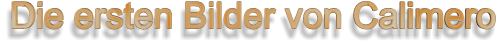 Die ersten Bilder von Calimero