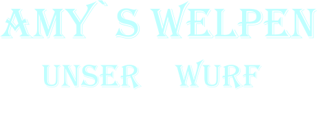 Amy`s Welpen      Unser F Wurf           6. Woche