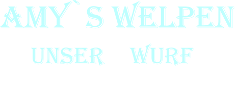 Amy`s Welpen      Unser F Wurf           7. Woche