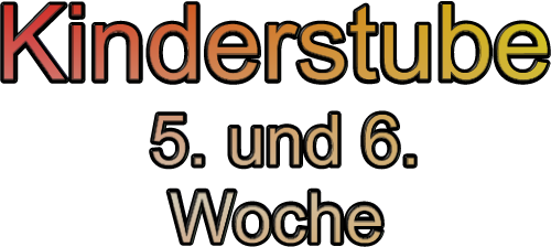 Kinderstube         5. und 6.          Woche