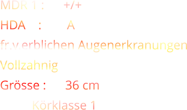 MDR 1 :      +/+ HDA    :        A fr.v.erblichen Augenerkranungen Vollzahnig     Grösse :      36 cm               Körklasse 1