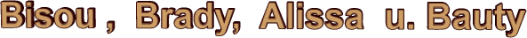 Bisou ,  Brady,  Alissa  u. Bauty