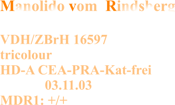 Manolido vom  Rindsberg  VDH/ZBrH 16597 tricolour HD-A CEA-PRA-Kat-frei               03.11.03 MDR1: +/+