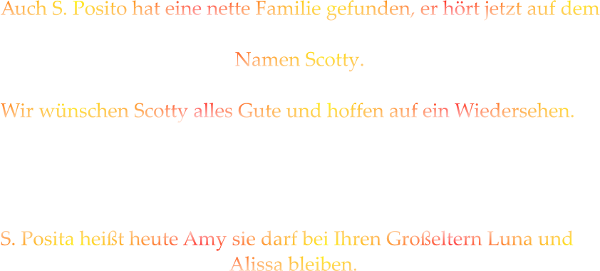 Auch S. Posito hat eine nette Familie gefunden, er hört jetzt auf dem                                                 Namen Scotty.  Wir wünschen Scotty alles Gute und hoffen auf ein Wiedersehen.     S. Posita heißt heute Amy sie darf bei Ihren Großeltern Luna und                                               Alissa bleiben.