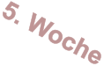 5. Woche