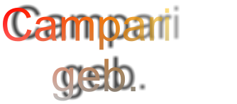 Campari         geb.