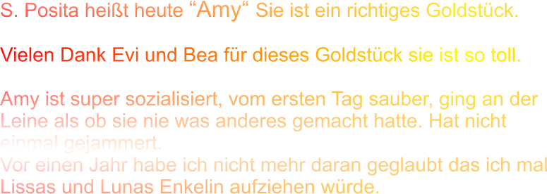 S. Posita heißt heute “Amy“ Sie ist ein richtiges Goldstück.  Vielen Dank Evi und Bea für dieses Goldstück sie ist so toll.  Amy ist super sozialisiert, vom ersten Tag sauber, ging an der Leine als ob sie nie was anderes gemacht hatte. Hat nicht einmal gejammert. Vor einen Jahr habe ich nicht mehr daran geglaubt das ich mal Lissas und Lunas Enkelin aufziehen würde.