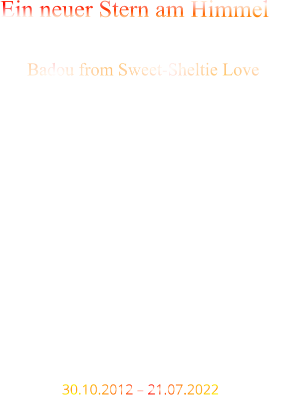 Ein neuer Stern am Himmel          Badou from Sweet-Sheltie Love                                              30.10.2012 – 21.07.2022