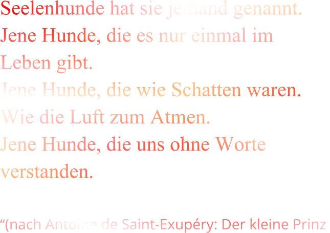 Seelenhunde hat sie jemand genannt.  Jene Hunde, die es nur einmal im Leben gibt. Jene Hunde, die wie Schatten waren. Wie die Luft zum Atmen. Jene Hunde, die uns ohne Worte verstanden.  “(nach Antoine de Saint-Exupéry: Der kleine Prinz