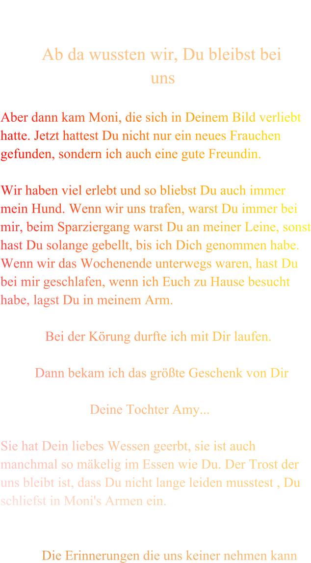 Ab da wussten wir, Du bleibst bei                                   uns    Aber dann kam Moni, die sich in Deinem Bild verliebt hatte. Jetzt hattest Du nicht nur ein neues Frauchen gefunden, sondern ich auch eine gute Freundin.   Wir haben viel erlebt und so bliebst Du auch immer mein Hund. Wenn wir uns trafen, warst Du immer bei mir, beim Sparziergang warst Du an meiner Leine, sonst hast Du solange gebellt, bis ich Dich genommen habe. Wenn wir das Wochenende unterwegs waren, hast Du bei mir geschlafen, wenn ich Euch zu Hause besucht habe, lagst Du in meinem Arm.                Bei der Körung durfte ich mit Dir laufen.            Dann bekam ich das größte Geschenk von Dir                                                             Deine Tochter Amy...  Sie hat Dein liebes Wessen geerbt, sie ist auch manchmal so mäkelig im Essen wie Du. Der Trost der uns bleibt ist, dass Du nicht lange leiden musstest , Du schliefst in Moni's Armen ein.                 Die Erinnerungen die uns keiner nehmen kann