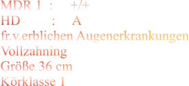MDR 1  :     +/+ HD         :     A fr.v.erblichen Augenerkrankungen Vollzahning Größe 36 cm Körklasse 1