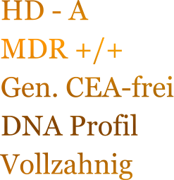 HD - A MDR +/+ Gen. CEA-frei DNA Profil Vollzahnig