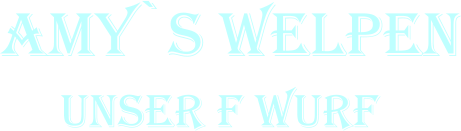 Amy`s Welpen      Unser F Wurf